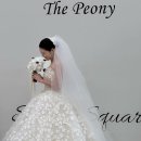 로즈호텔 | W.19-2 대구 아이폰스냅 루고사로즈 보정본 수령 후기 | 호텔수성 피오니홀