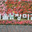 장미길