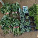 요셉농장2 이미지