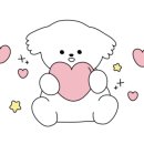 나드리 애견 이미지