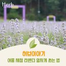 허브이야기 이미지