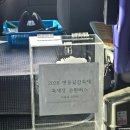 한마음농장 | 2026 영동곶감축제 생생후기<개막식/축하공연/축하가수/진해성/다정다감농장>