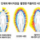 엘라비