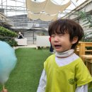 온동농장 | 창원 동읍 딸기따기체험, 4살아기와 &#39;내가키워팜&#39; 내돈내산 후기