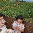 덕동산공원1 이미지