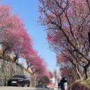 참판댁 민박 이미지