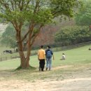 세연목장 이미지