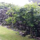 스윗보목 이미지