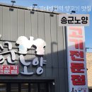 송군노양 이미지