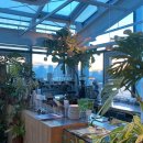 용산-이촌-496 이미지