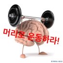 마이너짐 네이버블로그