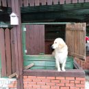 루비노펜션 이미지