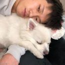 잠꾸러기 - 제천시 탑안로10길 4 | 잠꾸러기