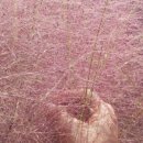 한아름농원 이미지