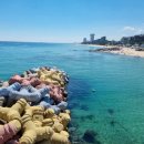 사근진해변 해중공원 이미지