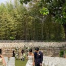 송현축사 | [공공예식] 북서울꿈의숲 5월 야외웨딩 후기