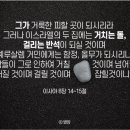 (주)아름다은 이미지