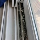 칸타빌레5차 이미지