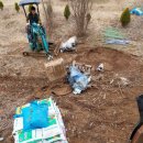 상수농장 이미지