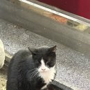 호텔얌 파주금촌점 이미지