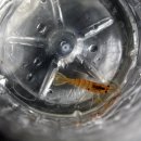 에코농원 이미지