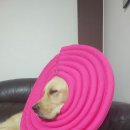 (주)골든리버 이미지