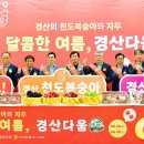경산 - 47194 | 경산
