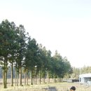 비자림빌리지1 이미지