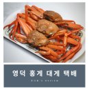 영덕홍게 자숙대게 택배 추천! 디마켓 선주직송 박달 홍게 후기