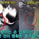 [서울의소리]"피해여성의 주장이 아니라 가해자로 지목된 당사자의 고소를 계기로 기사화 한 것은 더 놀랍다" 이미지