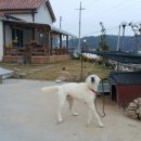 복등건축인테리어 이미지