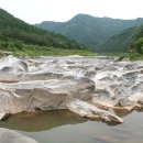 무릉송어장횟집 이미지