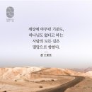 ➕ 호세아 10:1 – 10:15 두 마음을 버리고 하나님을 찾을 때 이미지