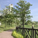 대화4교 이미지