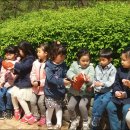 서문유치원 이미지