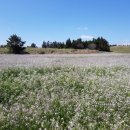 성읍리-27 이미지