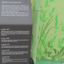 주천면 내송마을 이미지