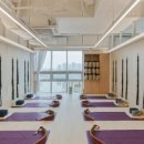 건강요가(월) 이미지