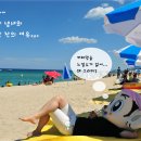 사근진해수욕장운영위원회 이미지