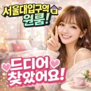 수원방다나와 공인중개사사무소 | 🏠서울대입구역 원룸 후기｜안전하고 수납 좋은 방 찾으신 20대 여성 손님