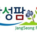 행복한블루베리 이미지