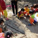 유아숲체험원(2) 이미지