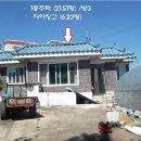 신갈리 Daum카페