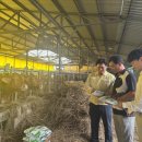 연일축산 이미지