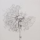 펜드로잉과 수채화 이미지