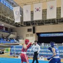 엘리트 충남종합복싱체육관 네이버블로그