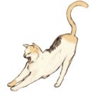 베나레스(Benares) 이미지