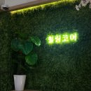 [시흥] 실내 이색 카페, 아이랑 갈만한 곳 : 앵무새 카페 힐링코어
