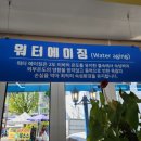 정유정육점