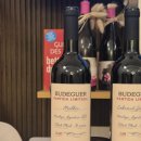 아르헨티나 미수입 와인을?! <Luna Piena X BDLS X Bodegas Budeguer> 시음회 후기